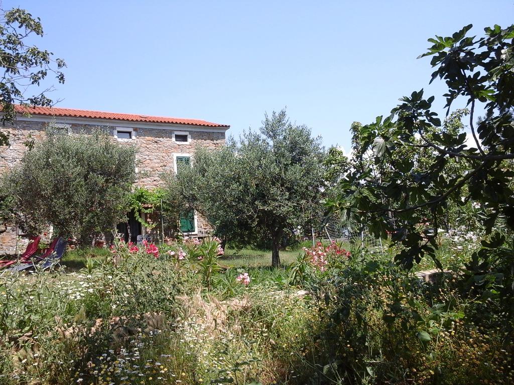 Kmetija Medljan Villa Izola Exterior foto